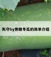 失守by焦糖冬瓜的简单介绍