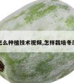 冬瓜怎么种植技术视频,怎样栽培冬瓜视频