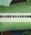 冬瓜豆腐什么意思,有什么冬瓜豆腐是什么意思