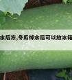 冬瓜焯水后冻,冬瓜焯水后可以放冰箱冷冻保存吗