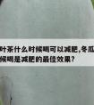 冬瓜荷叶茶什么时候喝可以减肥,冬瓜荷叶茶什么时候喝是减肥的最佳效果?