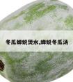 冬瓜蝉蜕煲水,蝉蜕冬瓜汤