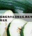 冬瓜西瓜南瓜为什么没有北瓜,西瓜冬瓜南瓜为啥没有北瓜