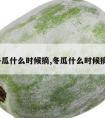 冬瓜什么时候摘,冬瓜什么时候摘?