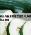 冬瓜的功效与作用禁忌百度百科,冬瓜功效与作用及禁忌营养