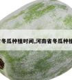 河南省冬瓜种植时间,河南省冬瓜种植时间?