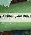 csgo冬瓜被骗,csgo冬瓜强打过职业吗