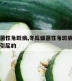 冬瓜细菌性角斑病,冬瓜细菌性角斑病是由什么病变引起的