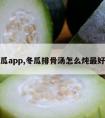 冬瓜app,冬瓜排骨汤怎么炖最好喝