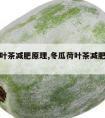 冬瓜荷叶茶减肥原理,冬瓜荷叶茶减肥原理是什么