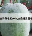 文森特和冬瓜solo,文森特我是冬瓜