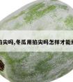 冬瓜掐尖吗,冬瓜用掐尖吗怎样才能结冬瓜