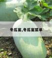 冬瓜宴,冬瓜宴菜单