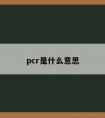 pcr是什么意思