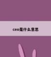 ceo是什么意思