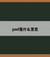 pad是什么意思