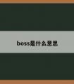 boss是什么意思