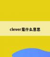 clever是什么意思