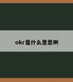 okr是什么意思啊