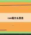 can是什么意思