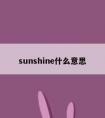 sunshine什么意思