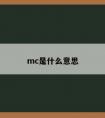 mc是什么意思