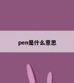 pen是什么意思