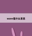 wave是什么意思