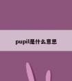 pupil是什么意思