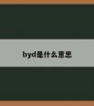 byd是什么意思