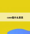 case是什么意思