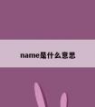 name是什么意思