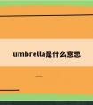 umbrella是什么意思