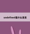 undefined是什么意思