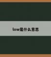 low是什么意思