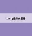 carry是什么意思