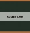 fork是什么意思