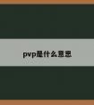 pvp是什么意思