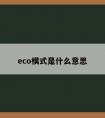 eco模式是什么意思