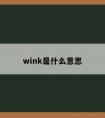 wink是什么意思