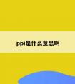 ppi是什么意思啊