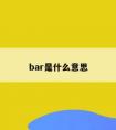 bar是什么意思