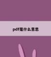 pdf是什么意思