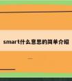 smart什么意思的简单介绍