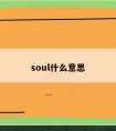 soul什么意思