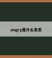 angry是什么意思