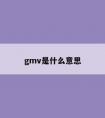 gmv是什么意思