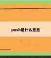 push是什么意思