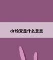 dr检查是什么意思