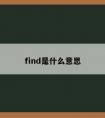 find是什么意思